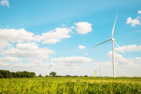 Anheuser-Busch și Enel Green Power anunță un parteneriat în domeniul energiei regenerabile