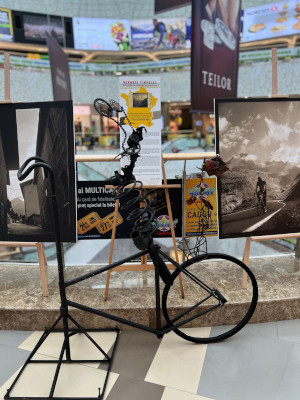 Mall Vitan expozitie Memoria Timpului – Route Napoléon