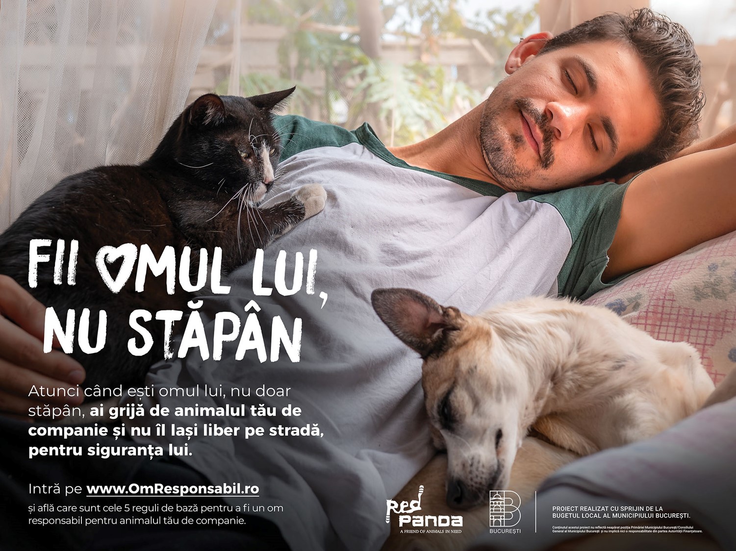 ”Fii un stăpân responsabil!” – campania care își propune să responsabilizeze milioane de iubitori de animale