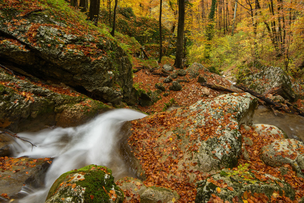 Parcul Natural Grădiștea Muncelului - Cioclovina - decor în România sălbatică