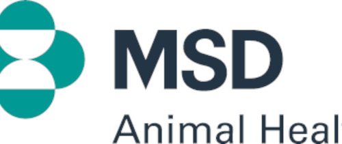 7 studenți din România beneficiază de burse oferite de MSD Animal Health