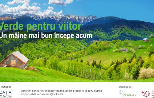 Un an de „Verde pentru viitor” în Parcul Natural Vânători Neamț: biodiversitate, ecoturism și educație