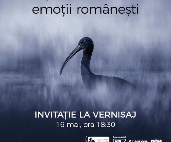 „emoții românești”, o expoziție temporară inedită la Muzeul Antipa