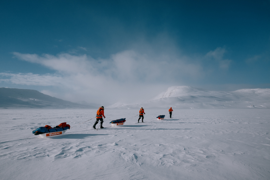 Traversând calota glaciară: trei membri ai echipei internaționale, sprijiniți de Gebrüder Weiss, în expediția lor de o lună prin Groenlanda. (Sursa: Gebrüder Weiss / Niklas Marc Heinecke)