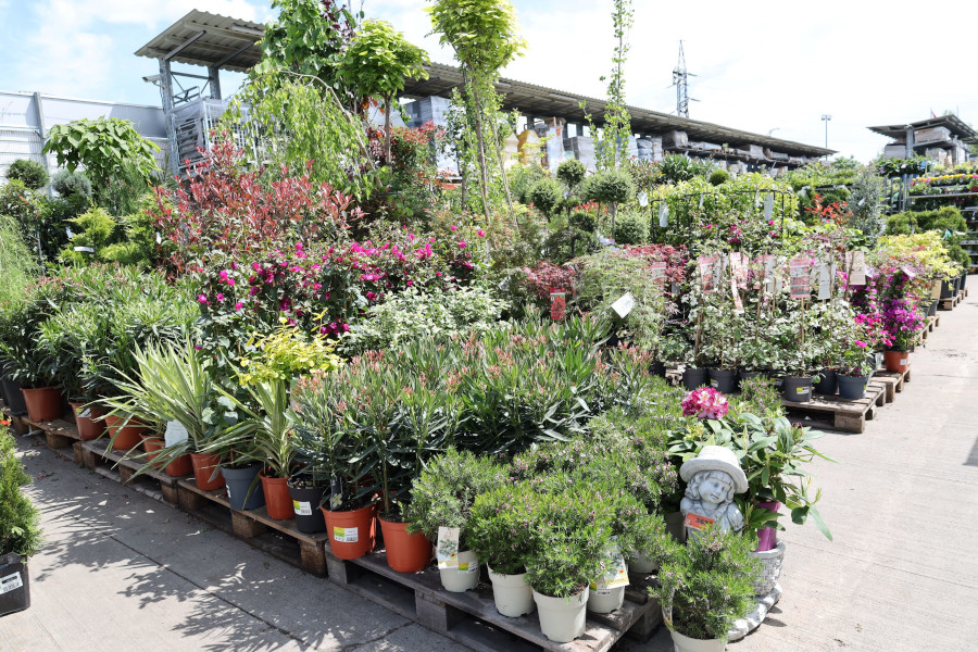 Amenajarea grădinii de la A la Z: 35% din vânzările anuale ale HORNBACH la categoria grădină sunt realizate primăvara Hornbach gradina