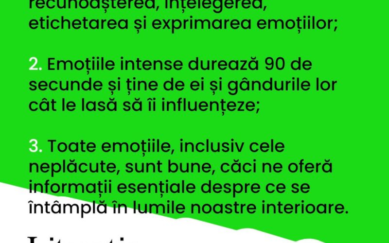 Nevoile tinerilor GenZ: Scurte concluzii la finalul Caravanei Literației Emoționale