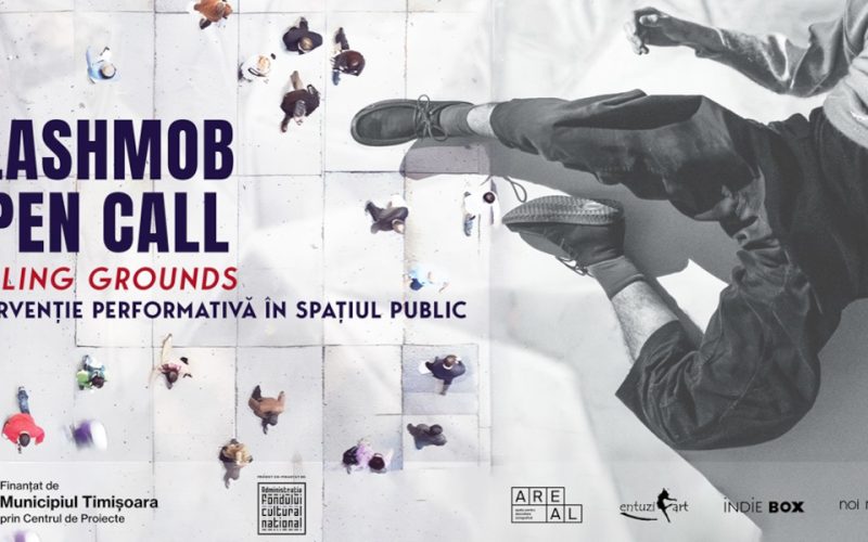 Proiectul de terapie prin artă mind-moving continuă - open call-uri deschise pentru un flashmob performativ și pentru un atelier - audiție la Timișoara open call falling grounds