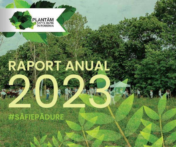 Plantăm fapte bune în România – 700.000 de puieți plantați în 2023