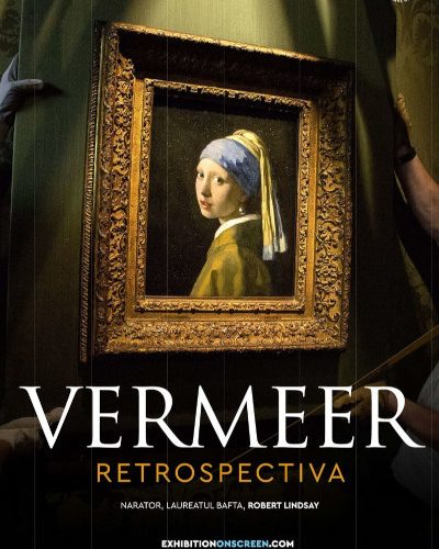 Vermeer: Retrospectiva