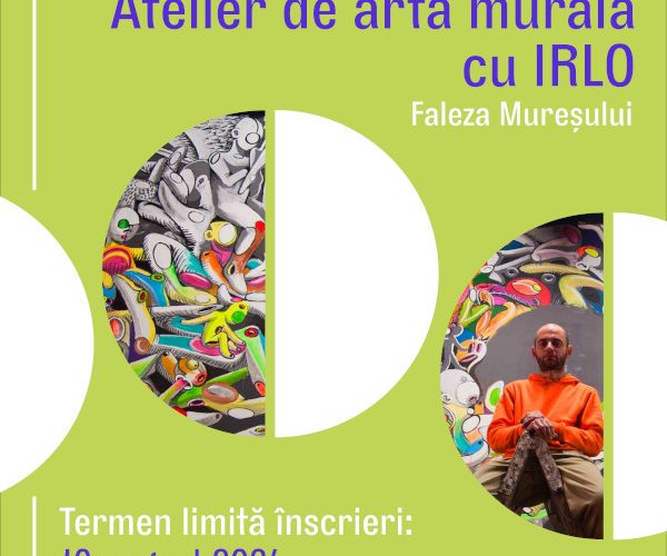 Atelier de arta murala cu IRLO