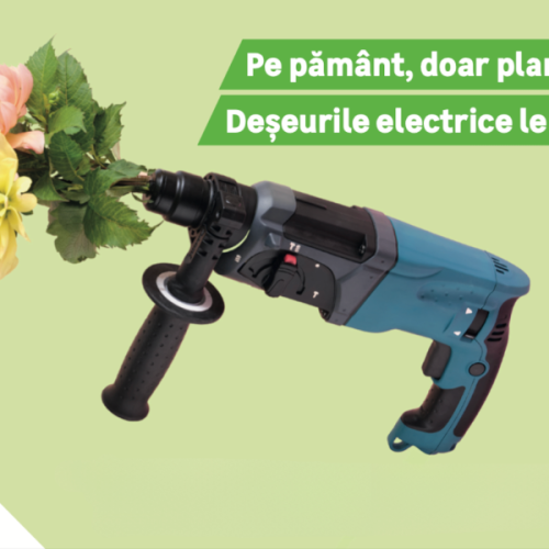 Flori în schimbul deșeurilor electrice – Asociația Environ și Leroy Merlin dăruiesc semințe de flori oamenilor care reciclează