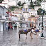 Donkeys are seen on the island of Hydra, Greece. They are the main form of transport, as motor vehicles are prohibited. (National Geographic/Tassos Fytros)