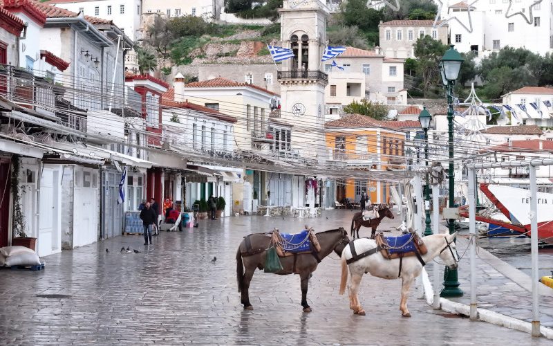 Donkeys are seen on the island of Hydra, Greece. They are the main form of transport, as motor vehicles are prohibited. (National Geographic/Tassos Fytros)