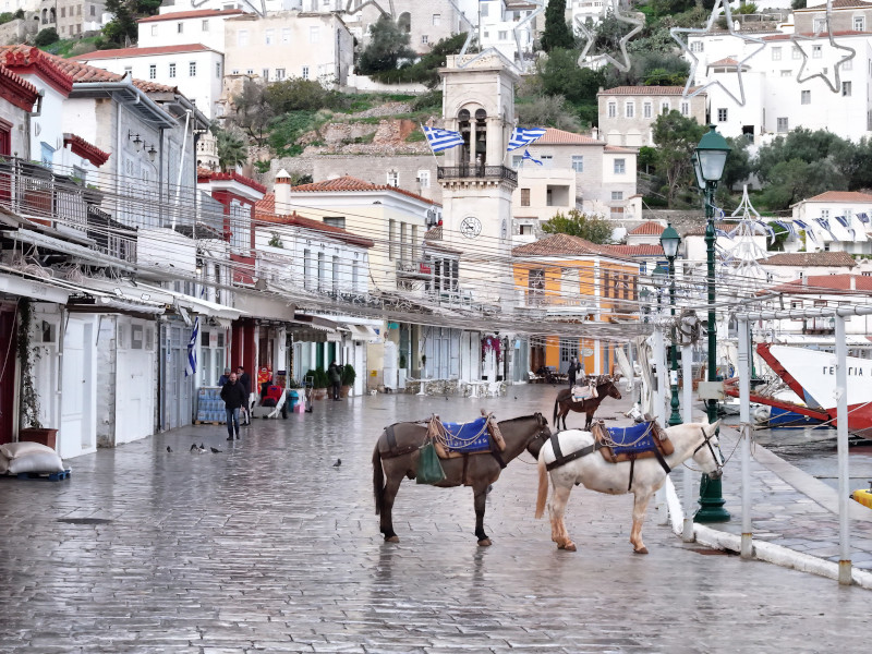 Donkeys are seen on the island of Hydra, Greece. They are the main form of transport, as motor vehicles are prohibited. (National Geographic/Tassos Fytros)