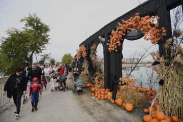 West Side Hallo Fest, cel mai mare festival de Halloween din țară, revine pe Insula Lacul Morii cu o ediție spectaculoasă. Pe scenă urcă Smiley, Carla`s Dreams și Vița de Vie