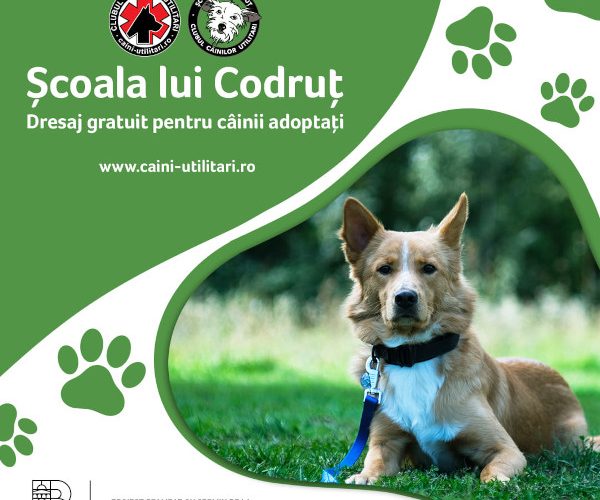 „Școala lui Codruț” revine pentru o nouă ediție: Clubul Câinilor Utilitari dă startul programului de dresaj 100% GRATUIT, dedicat câinilor adoptați și stăpânilor acestora