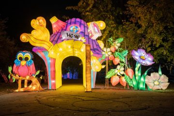 “Garden of Lights” România – Destinațiile de top ale acestui sezon au atras peste 170.000 de vizitatori din toată Europa în primele luni de la deschidere