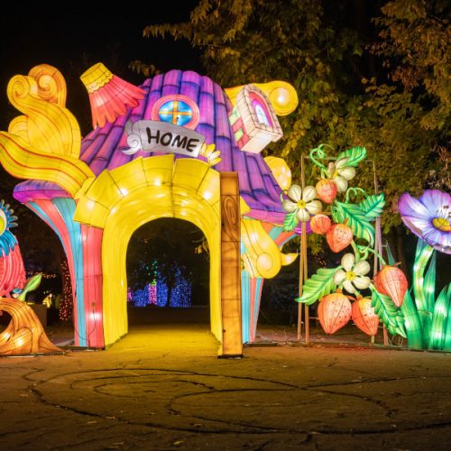 “Garden of Lights” România – Destinațiile de top ale acestui sezon au atras peste 170.000 de vizitatori din toată Europa în primele luni de la deschidere