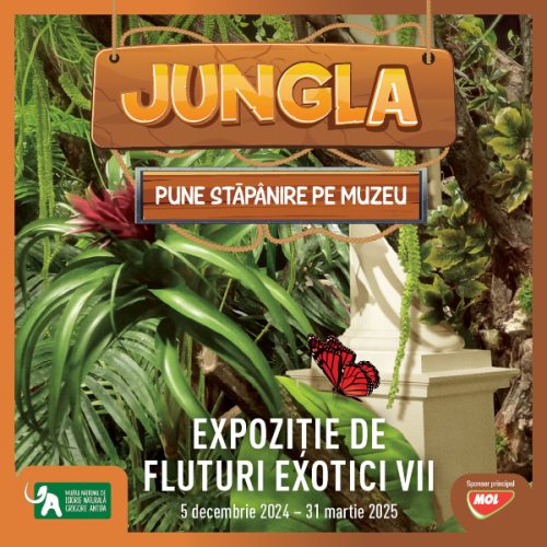 Jungla pune stăpânire pe muzeu