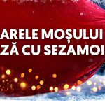 Sezamo își invită clienții să fie „Ajutoarele lui Moș Crăciun” pentru copiii din școlile speciale și spitalele de pediatrie