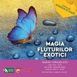 Magia fluturilor exotici