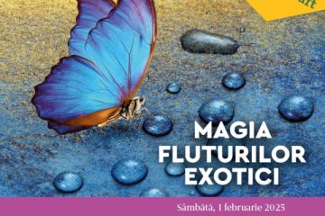 Magia fluturilor exotici