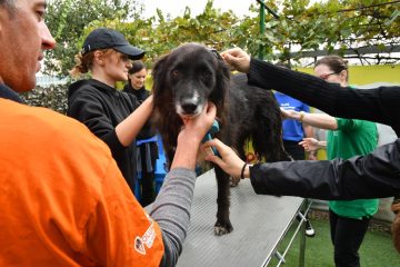 Donații de peste 1,5 milioane de lei și sute de ore de voluntariat pentru crearea unei lumi mai bune pentru oameni și animale de companie