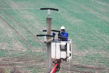 Linii electrice sigure pentru păsările din Dobrogea