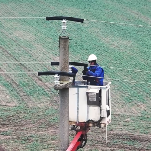 Linii electrice sigure pentru păsările din Dobrogea